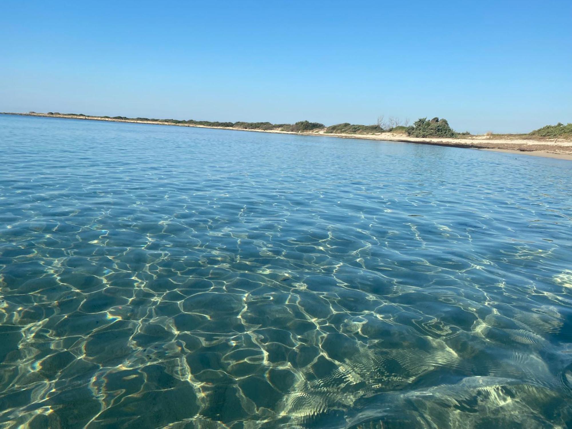 Villa Odetta - Appartamento Limonaia Torre Colimena Dış mekan fotoğraf